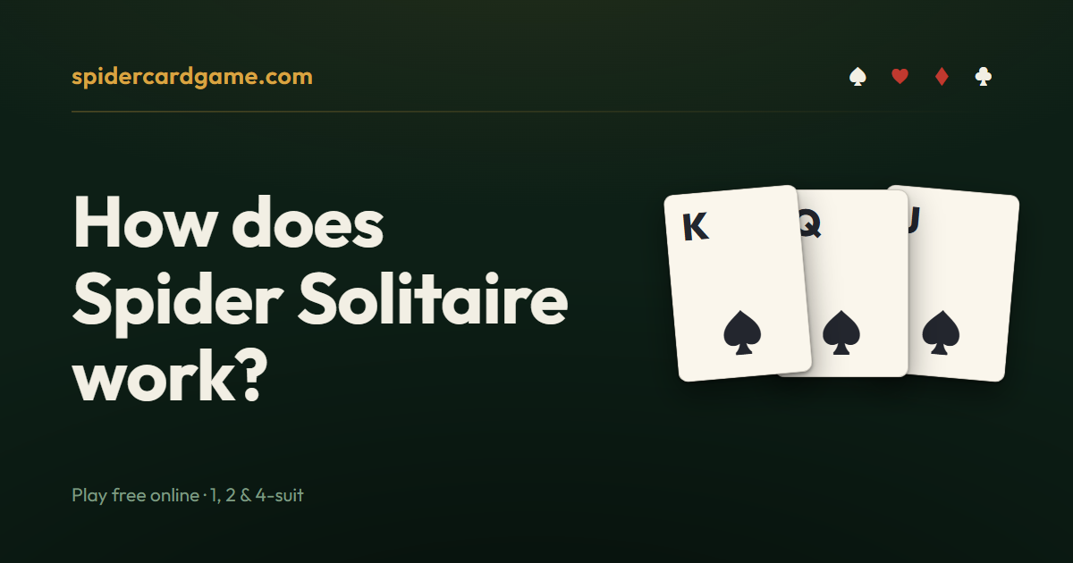 How does Spider Solitaire work?