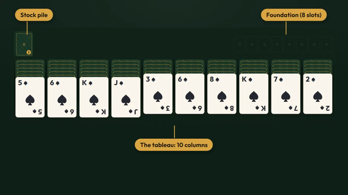 Spider Solitaire board with the stock pile, foundation slots, and 10 tableau columns labeled